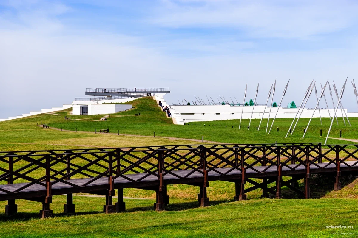 На Куликовом поле воссоздадут пейзаж XIV века: что именно решили вырастить археологи