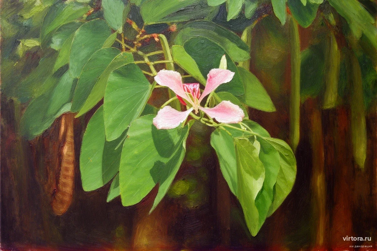 Стив Маккуин нашел в цветах Гренады следы 400-летней трагедии